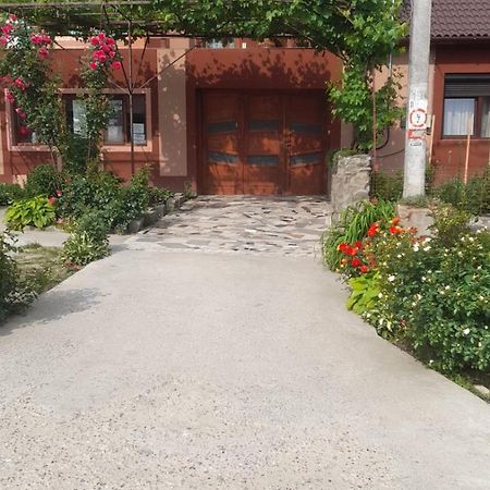 Casa Elena Eselnita Hotel Buitenkant foto