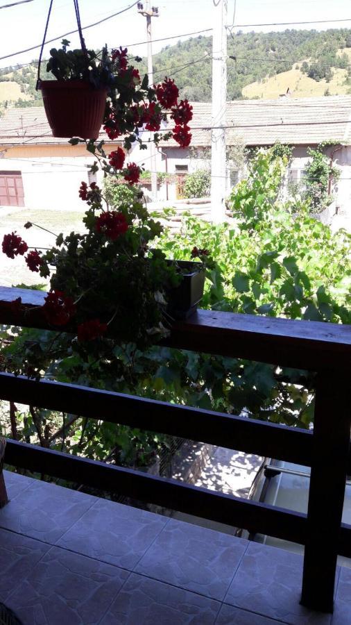 Casa Elena Eselnita Hotel Buitenkant foto